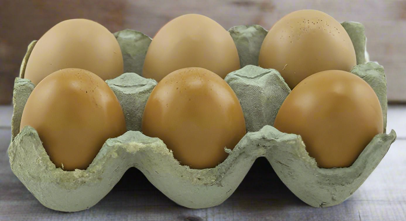 Primitive Country Realistic Life Size Brown Resin Eggs 6 pc in Crate - The Primitive Pineapple Collection