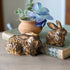 Primitive Farmhouse 2 pc Rustic Bunny Figurines - The Primitive Pineapple Collection