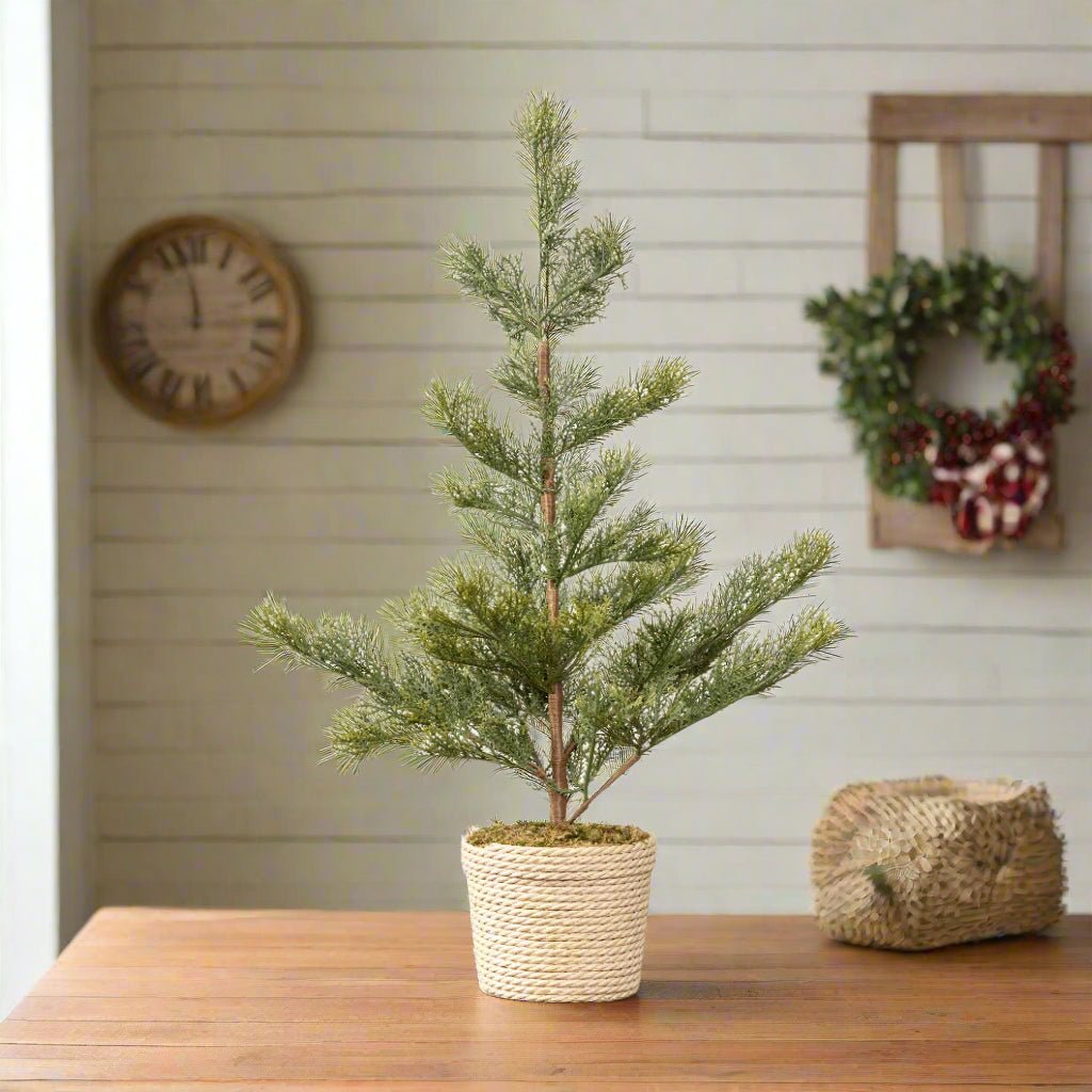 Primitive Ragon House 23.75" Rustic Pine Tree in Braided Pot - The Primitive Pineapple Collection