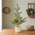 Primitive Ragon House 23.75" Rustic Pine Tree in Braided Pot - The Primitive Pineapple Collection
