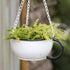 Primitive Farmhouse Hanging Metal Bird Feeder/ Planter - The Primitive Pineapple Collection