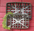 Vintage Rustic Farmhouse Gray Wash Rectangle Tobacco Baskets w/Metal Strips - The Primitive Pineapple Collection
