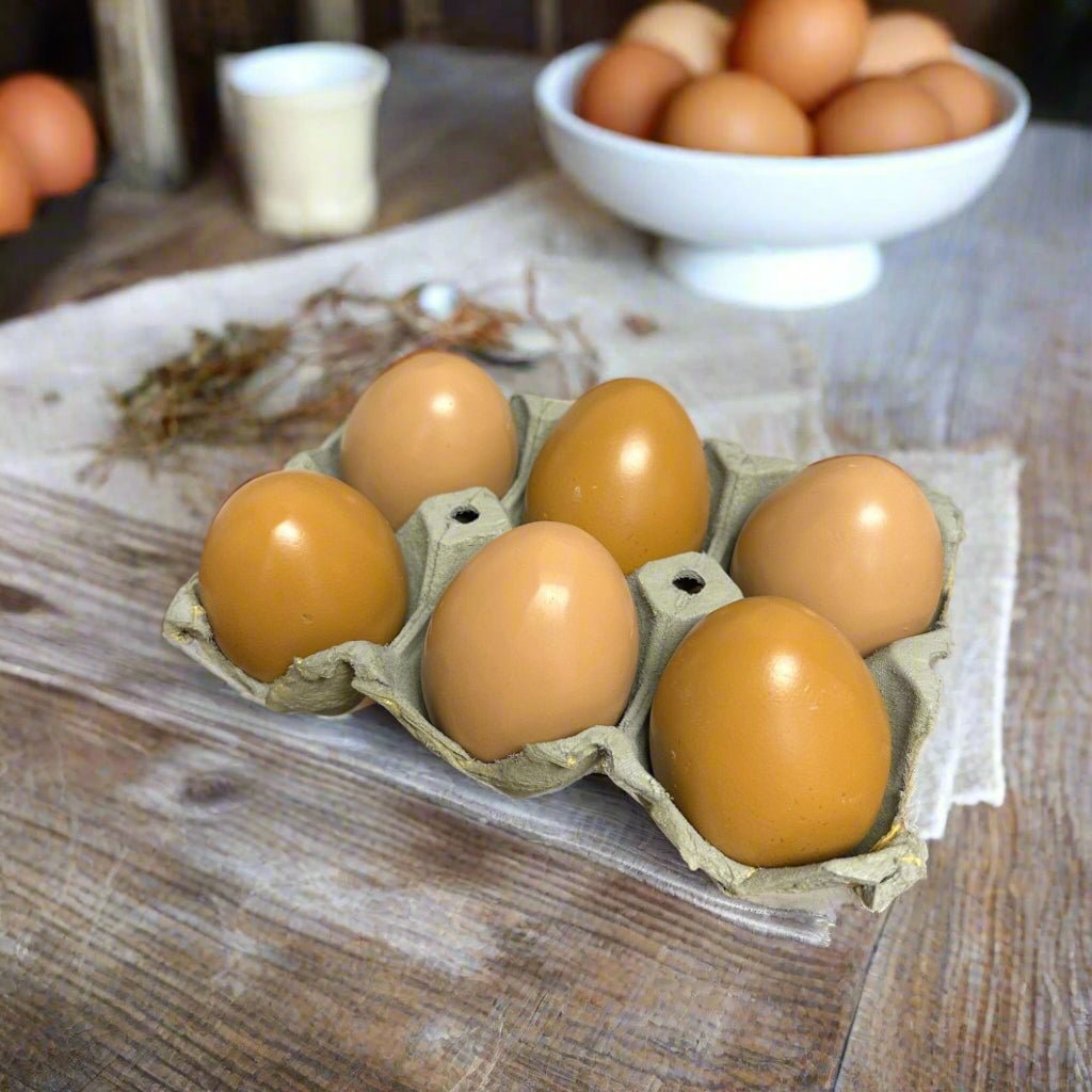 Primitive Country Realistic Life Size Brown Resin Eggs 6 pc in Crate - The Primitive Pineapple Collection