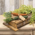 Primitive Farmhouse 3 pc Carrots with Tag - The Primitive Pineapple Collection