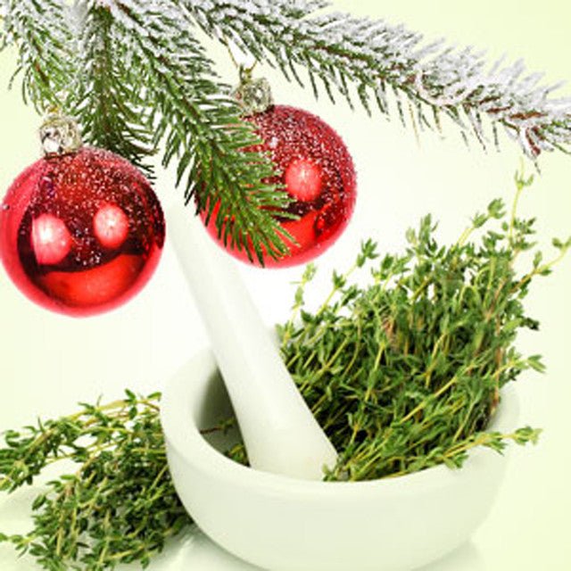 Holiday Christmas Thanksgiving Scents Concentrated Liquid Simmering Potpourri Liquid - The Primitive Pineapple Collection