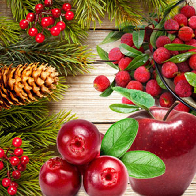 Holiday Christmas Home Fragrance Concentrated Simmering Potpourri & Refresher Liquid