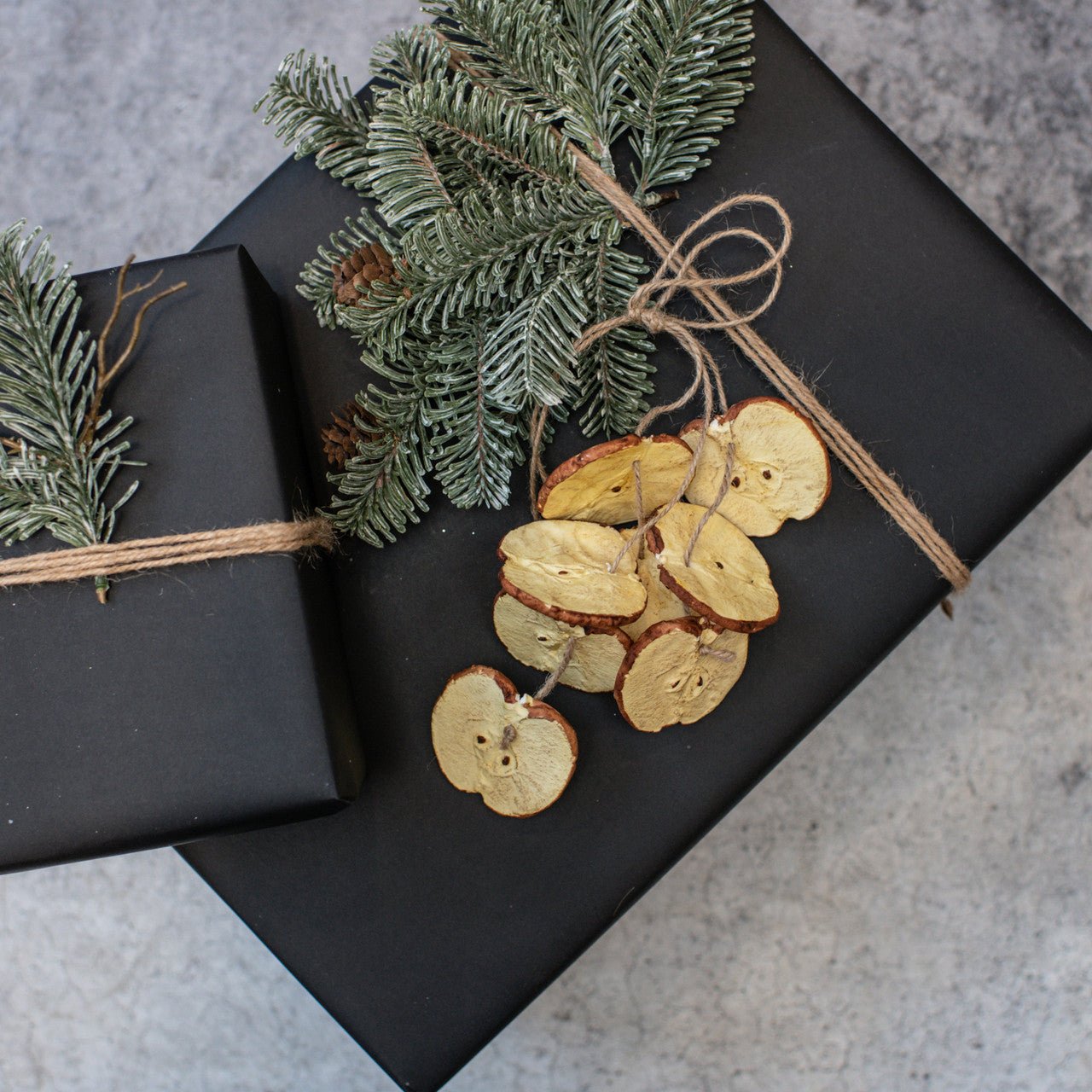 Primitive Christmas Ragon House 12" Apple Slice Hanging Ornaments - The Primitive Pineapple Collection