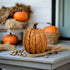 Primitive Country Ragon House 3.75" Terra Cotta Tall Pumpkin Halloween - The Primitive Pineapple Collection