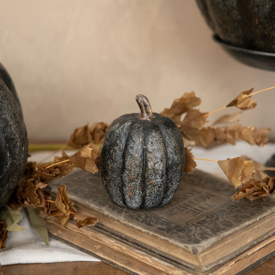 Primitive Country Ragon House 3.75" Black Tall Pumpkin Halloween - The Primitive Pineapple Collection