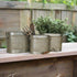 Primitive Ragon House 3 pc Vintage Look Metal Striped Troughs - The Primitive Pineapple Collection