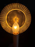Primitive/Farmhouse 5 watt Clear Silicone Light Bulb - The Primitive Pineapple Collection