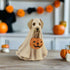 Bethany Lowe Halloween Ghost Dog TD4021 - The Primitive Pineapple Collection