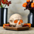 Bethany Lowe Halloween Skull Votive TD4136 - The Primitive Pineapple Collection