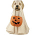 Bethany Lowe Halloween 19.5" Large Ghost Dog TD5046 - The Primitive Pineapple Collection