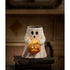 Bethany Lowe Halloween Sweet Boo With Pumpkin Bucket TJ2310 - The Primitive Pineapple Collection