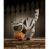 Bethany Lowe Halloween Mummy Kitty Figurine TJ2321 - The Primitive Pineapple Collection