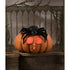 Bethany Lowe Halloween Spider on Pumpkin JOL TJ3309 - The Primitive Pineapple Collection