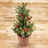 Farmhouse Country Christmas 12" Potted Glittery Holly Pine Tree Ragon House - The Primitive Pineapple Collection