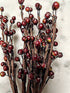 Primitive Farmhouse 10" Faux Rosehip Berry Sprigs - The Primitive Pineapple Collection