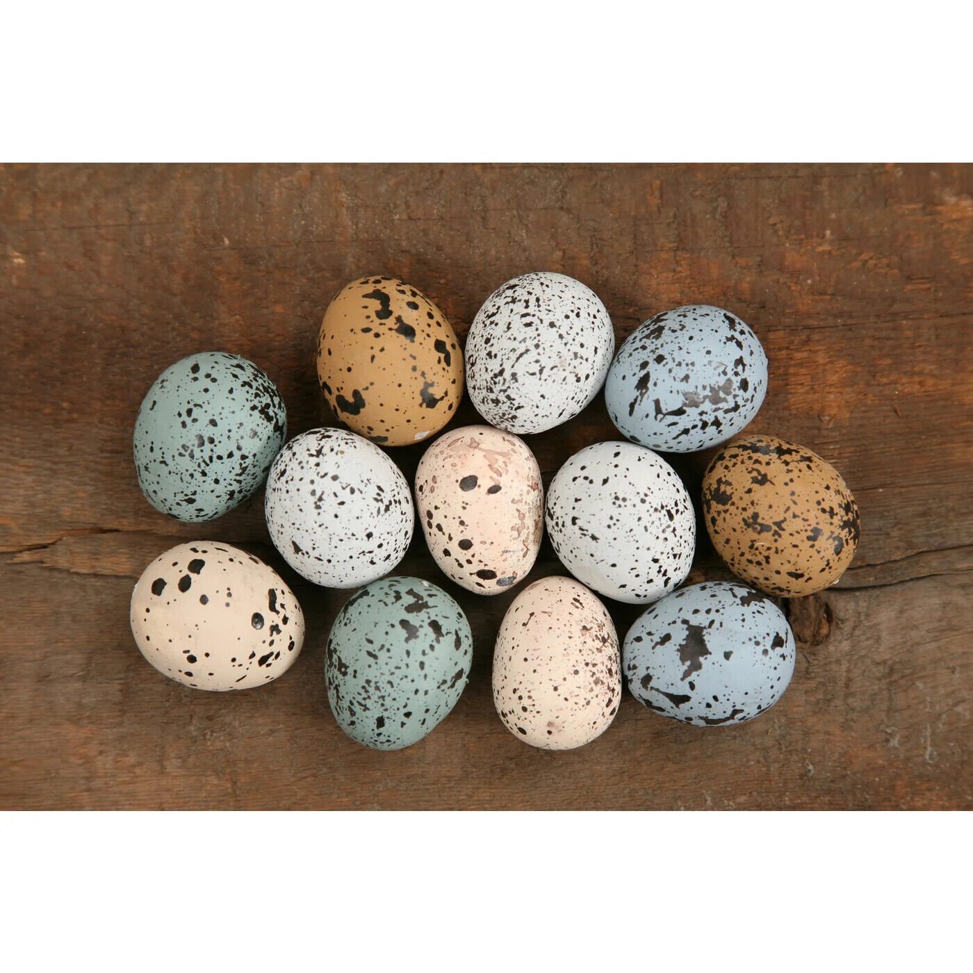 Farmhouse/country Easter Spring speckled colored eggs 1.5" 12 pc set - The Primitive Pineapple Collection