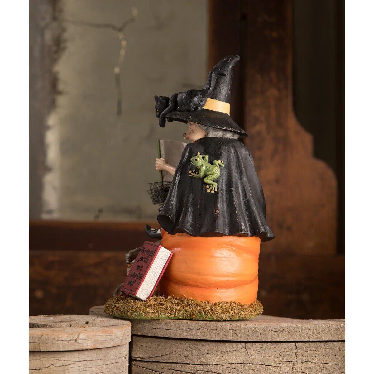Bethany Lowe Halloween How to Train your Black Cat Witch TD1203 - The Primitive Pineapple Collection