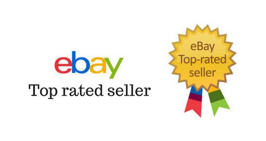 Primitive Farmhouse 6" Resin Black Chicken Rooster Figurine with wire Feet - The Primitive Pineapple Collection