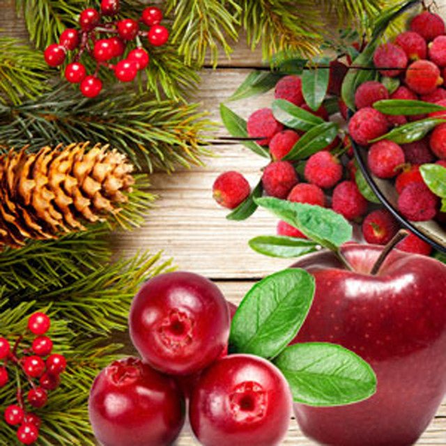 Holiday Scents Concentrated Liquid Simmering Potpourri Apple Wood Fir Needle - The Primitive Pineapple Collection
