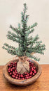 Primitive Christmas Farmhouse Hand Carved Wood Bowl w/ Pine Tree and Berries - The Primitive Pineapple Collection