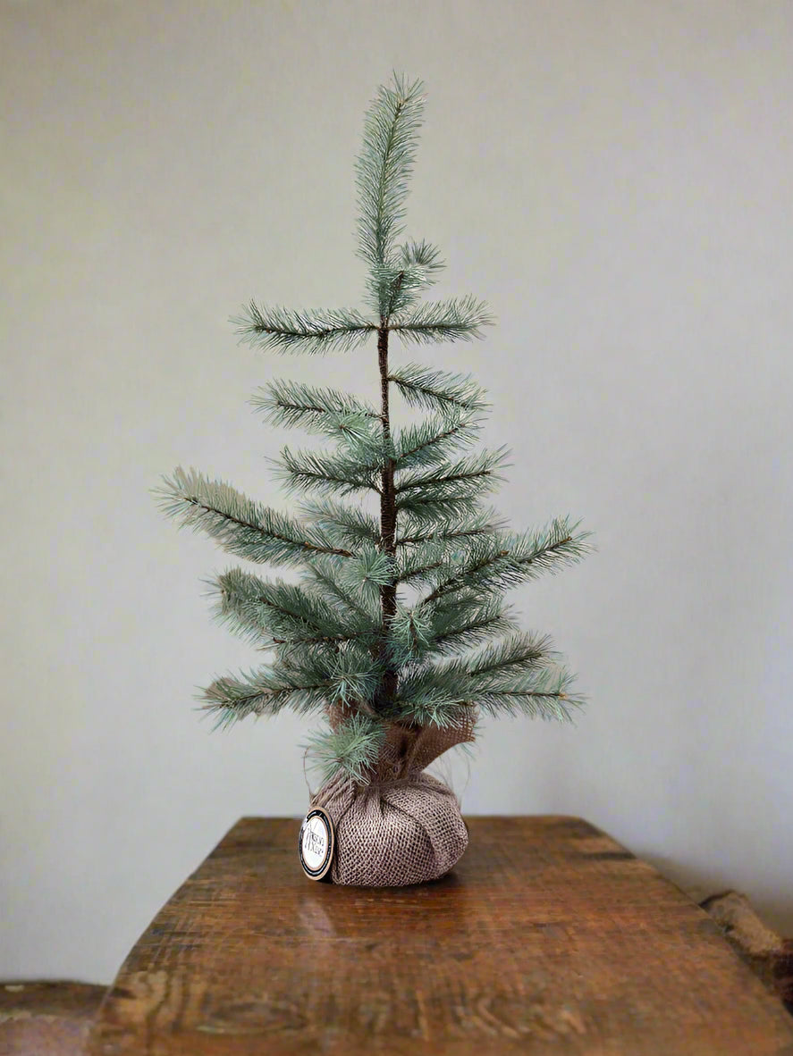 Ragon House Farmhouse Rustic 24&quot; Colonial Pine Tree w/ Burlap Base