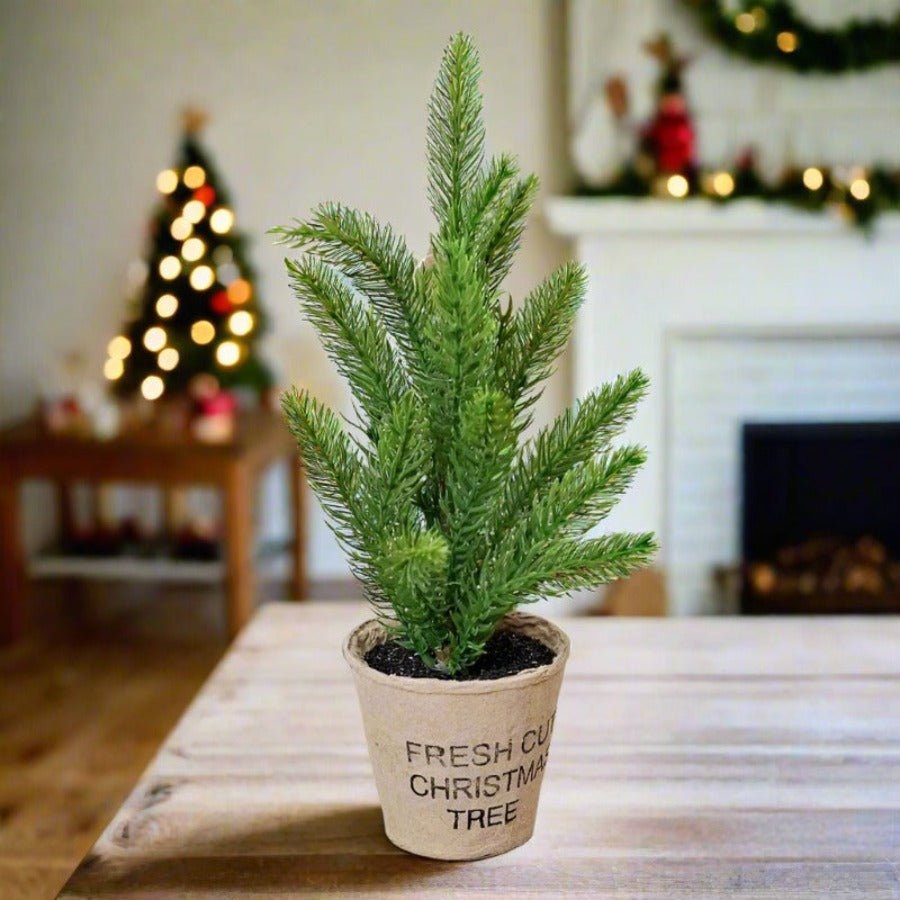 Primitive Farmhouse Christmas 11" Fresh Cut Spruce Pine Tree - The Primitive Pineapple Collection