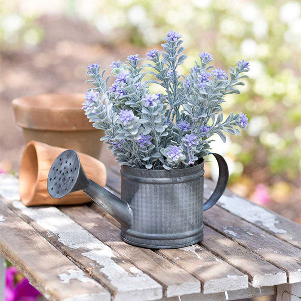 Primitive Farmhouse Mini Watering Can Metal Planter