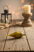 Primitive/Country Orange Clove Scented Silicone Dipped FLICKER Light Bulb 3 watt - The Primitive Pineapple Collection