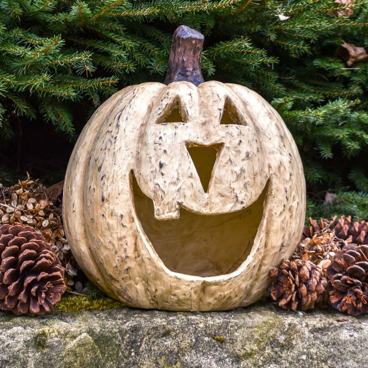 Halloween Fall Collectable 11” White Big Mouth Pumpkin Luminary - The Primitive Pineapple Collection