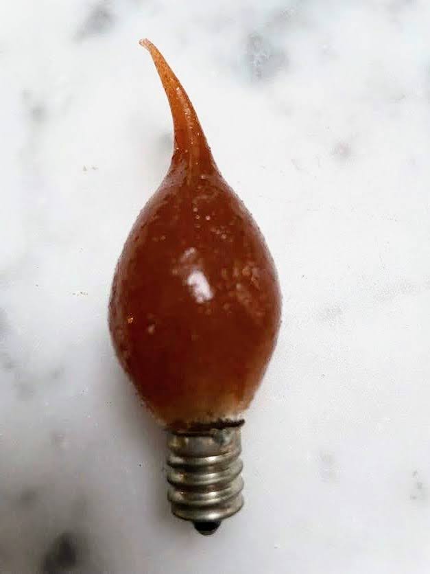 Primitive/Farmhouse 5 watt Brown Sugar Scented Silicone Light Bulb