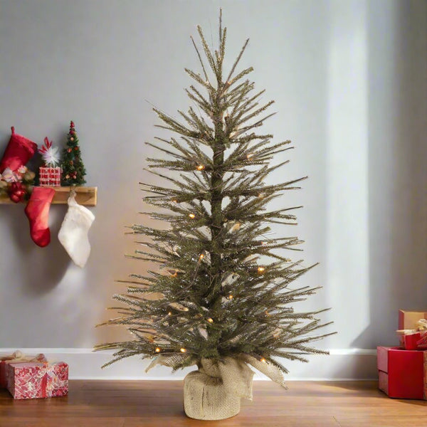 B107631_1000_grande.jpg?v=