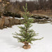 Ragon House Primitive Farmhouse Rustic 3' Colonial Pine Tree w/ Burlap ...