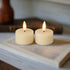 Ragon House 2 pc 3D Flame Cream Shimmer Battery Tealight Candle 6hr Timer - The Primitive Pineapple Collection