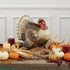 Halloween Fall Ragon House Collectable 16” Turkey Figurine Container - The Primitive Pineapple Collection
