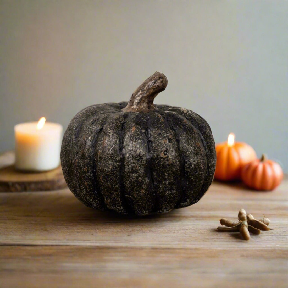 Ragon House Halloween Fall 2.75" Black Short Pumpkin - The Primitive Pineapple Collection