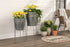 Primitive Ragon House Spring 2 pc Metal Galvanized Standing Planters - The Primitive Pineapple Collection