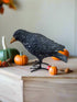 Primitive Halloween Fall Black Crow with Gold Beak and Metal Feet Figurine - The Primitive Pineapple Collection