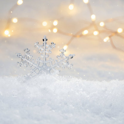 Primitive Christmas 5 watt Snowflake Scented Silicone Light Bulb - The Primitive Pineapple Collection