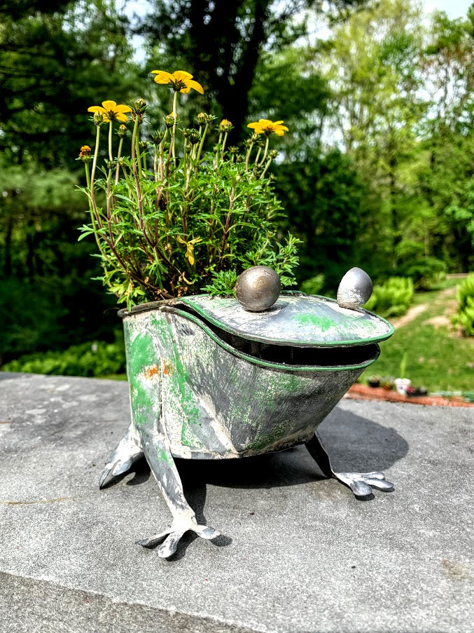 Primitive Farmhouse Rusty Frog Planter