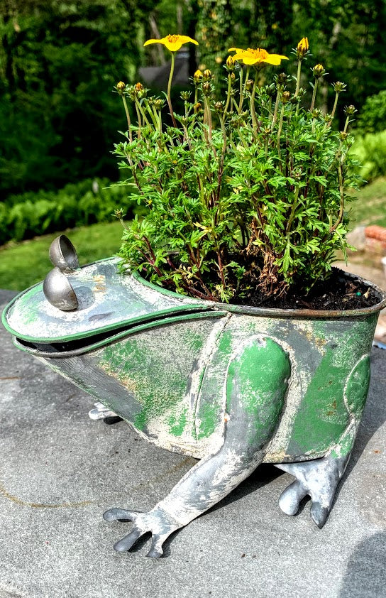 Primitive Farmhouse Rusty Frog Planter