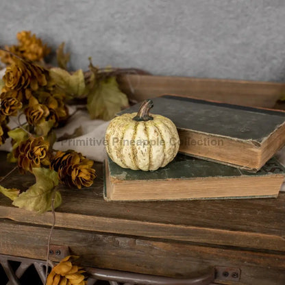 Ragon House Halloween Fall 2.75"White Short Pumpkin - The Primitive Pineapple Collection