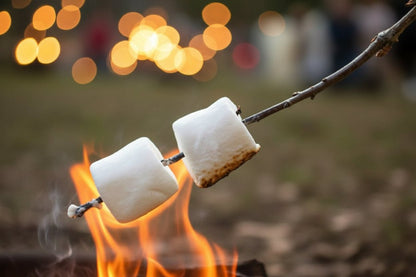 Primitive Christmas 5 watt Toasted Marshmallow Scented Silicone Light Bulb - The Primitive Pineapple Collection