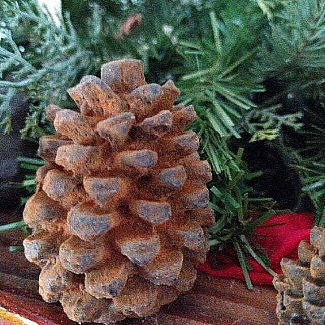 Primitive Farmhouse Scented Beeswax Christmas Winter Pine Cones Bowl filler 3pc - The Primitive Pineapple Collection