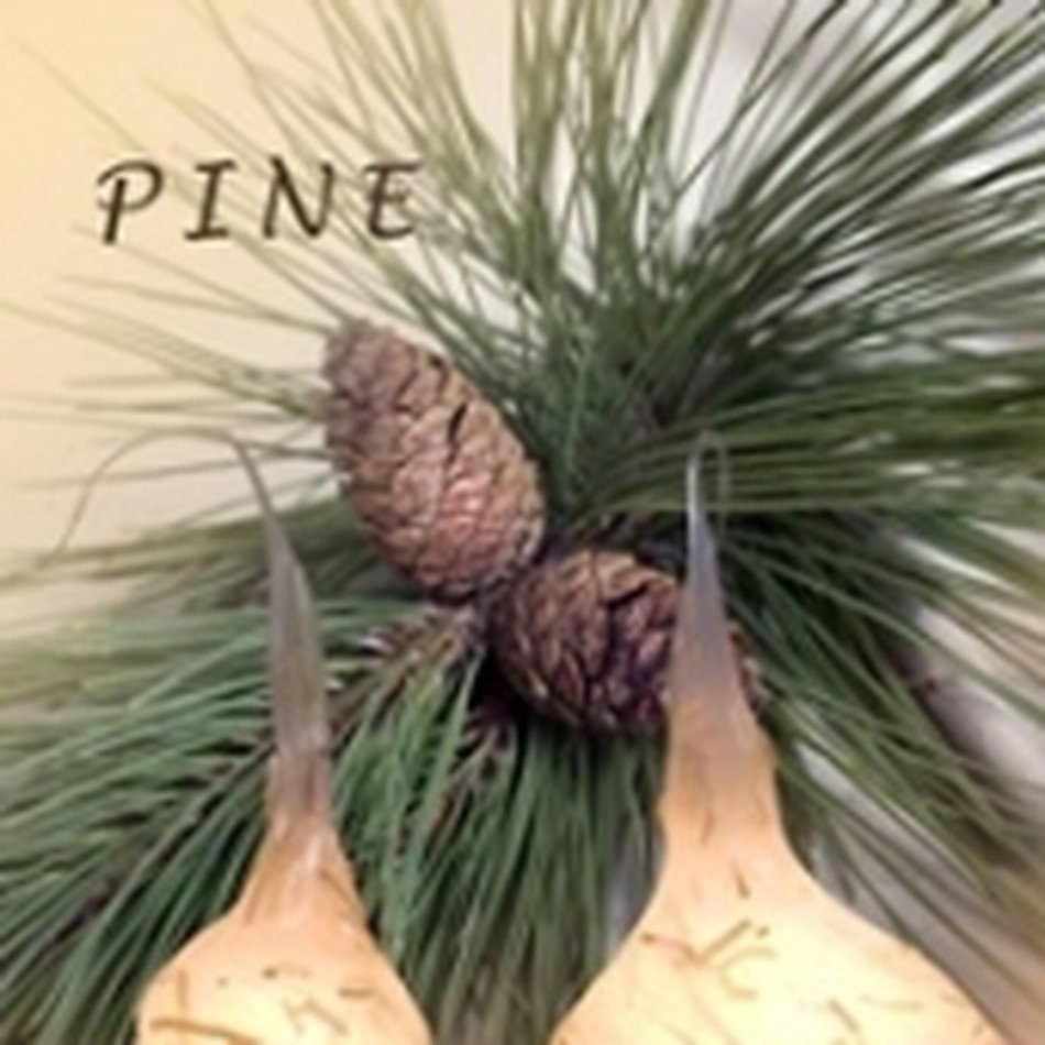 Pine Scented Primitive/Farmhouse 4 watt Silicone Light Bulb - The Primitive Pineapple Collection