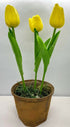 Primitive Farmhouse Spring Faux Tulips in Wax Dipped Pot - The Primitive Pineapple Collection