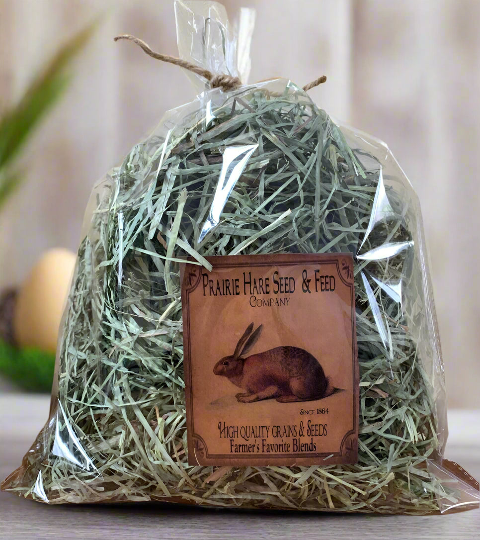 Primitive/Colonial Primitive Large Bag Craft Grass Bowl Filler - The Primitive Pineapple Collection
